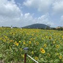 화월농장 이미지