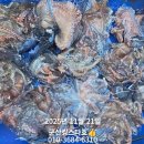 킹스타 Daum카페