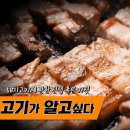 고기싸롱 이미지