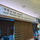 정성담은(엔씨홈푸드) | [강동 맛집] &#39;다채원&#39; 굽은다리역 홈플러스 푸드코트 점심 혼밥 내돈내산 솔직 후기