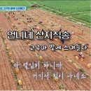 큰언니네돈가스 이미지