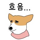 서부세탁물