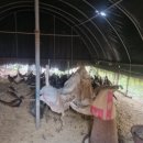 옥정산닭 이미지