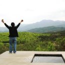 사유의숲 이미지