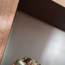 천년의 정원 이미지