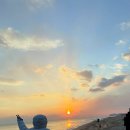 양양 발렌타인 애견펜션 이미지