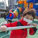 다솜초등학교 이미지