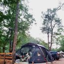 평창 태기산 캠핑장 펜션 이미지