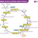 제이약국 이미지