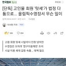 고인물 회원 '텃세'가 법정 다툼으로... 올림픽수영장서 무슨 일이 이미지