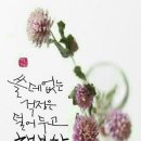 강남수헬퍼