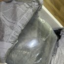 아쿠아스토어 | 고두펄 유어 분양후기ㅣ아쿠아스토어 분양후기ㅣ금붕어 키우기
