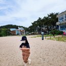 조항농로 | 고사포해수욕장 물때 보는법 해루질 아이랑 체험후기 (주차장, 화장실)