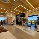 몽슈 | [후기]경산 하양 대형견 소형견 애견카페_몽슈랜드🎀