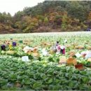 비호축산 이미지