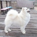 알곡켄넬 이미지