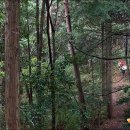 [접수마감] 5월 9일~5월 11일 (금~일, 2박3일) 해외도보 10탄 - 일본 돗토리현 국보 트레킹 & 온천 여행 이미지