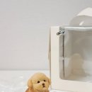 너를닮은케이크 이미지