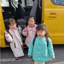 죽림초교병설유치원 이미지