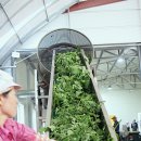 정직마켓 이미지