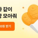 K붕어빵케이