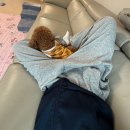 (주)투니팝 | 언젠가 그린 내일로 혹 그와 다를지라도 더 가볼게 이 다음의 다음