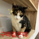 여시 - 관악구 은천로 28 | 여시