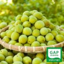 광양매화골농원 영농조합법인 이미지