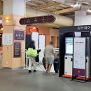 설악워터피아실외수영장 | 속초 워터파크 한화리조트 설악워터피아 온천수 스파 물놀이