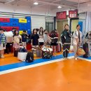 경희대 마린 태권도 이미지