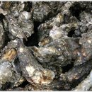 신길LPG충전소 이미지