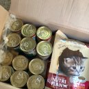 DH축산 | 동원 뉴트리플랜-키튼 사료 &amp; 건강프로젝트 습식캔