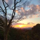 한성 | 용인 골프장 한성CC 라운드 후기 | 조식 메뉴·그린피·코스 컨디션(4회차 방문)