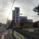 청솔(171) 이미지