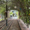 싱그러운청도로(가을) 이미지