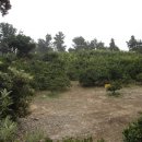 하례1리 이미지