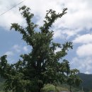 성도리석불입상 이미지