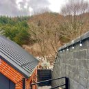 트리몰리 이미지