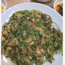 나무서리어죽 이미지