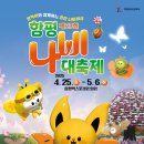 함평나비(무안) 이미지