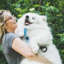 pet for you 이미지