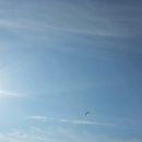 대바위 | 능파대·서낭바위 후기, 조용히 바다 보기 좋은 동해 코스