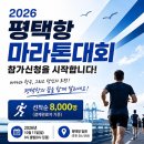 엠에스무역 | 2026 평택항 마라톤 대회 신청 정보 (+코스 상세후기)