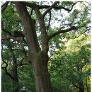 몽계폭포 백양사코스 이미지