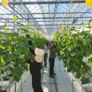 상주시농업기술센터 이미지