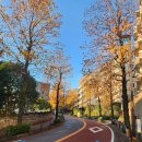 원천수식당 | 도쿄 겨울 여행 온천 추천 미야마에히라 원천 유케무리노쇼 이용 및 식당 후기