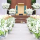 플라워엘 이미지