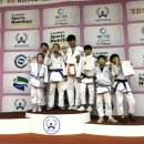 용인대 탑 유도체육관 이미지