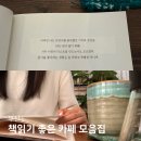 송화로19번길 26-3 | 부산 가을 가볼만한곳 책읽기 좋은 카페 모음집 PICK 8