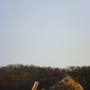 중동2리 이미지